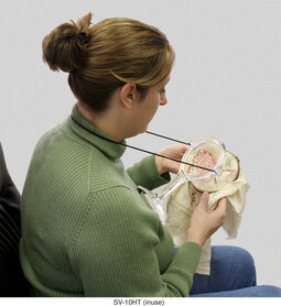 Vergrootglas nekmodel